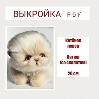 День перс
