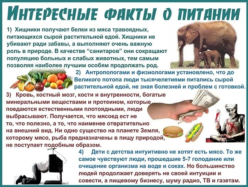 Если месяц не есть мясо. Интересные факты о питании. Интересные факты о здоровой еде. Интересные факты о питании человека. Интересные факты о полезной еде.