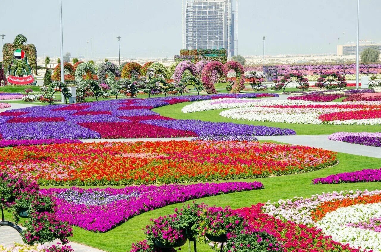 Самый большой парк. Сад в Дубае Миракл Гарден. Цветочный парк Дубай Miracle Garden. Цветочный сад в Дубае Миракл. Парк «сад чудес» в Дубае, ОАЭ..