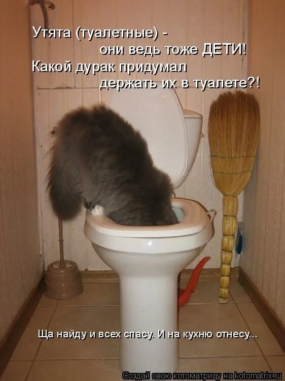 Унитаз-компакт creavit ducky dc361 с биде. Хожу в туалет как утка. В туалет в утку. Хожу в туалет как утка. Хожу в туалет как утка.