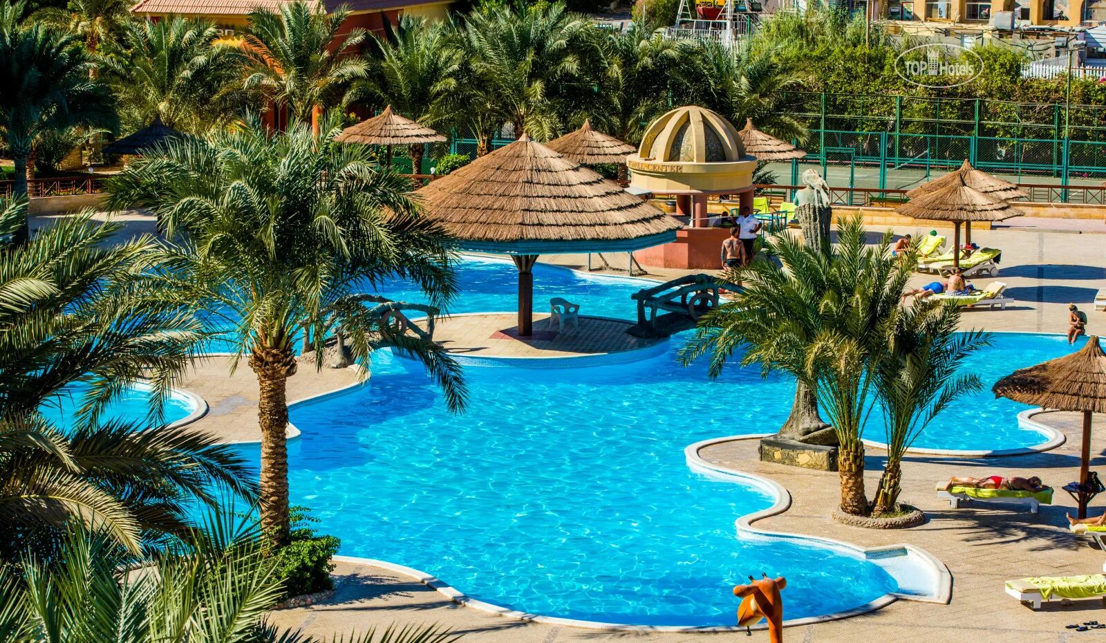 Hurghada seagull resort 4. Отель Сигал Бич Резорт Хургада. Хургада отель Сигал 4. Отель Сигал Египет Хургада. Отель в Египте Seagull Beach Resort Club 4.