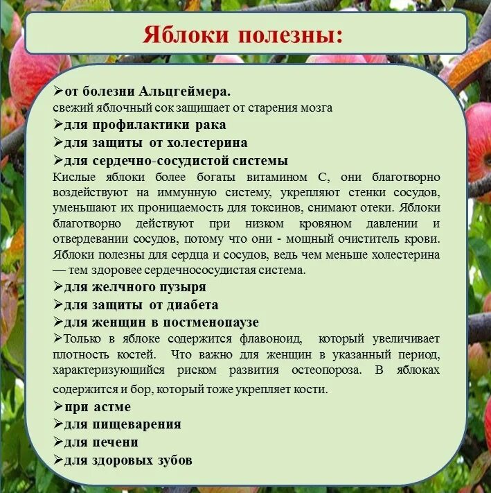 Мудрость о правильном питании. Яблоня питается готовыми органическими веществами. Питание яблонь. Питание яблонь. Питание яблонь.