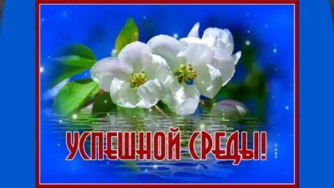 Прекрасной среды картинки с надписями