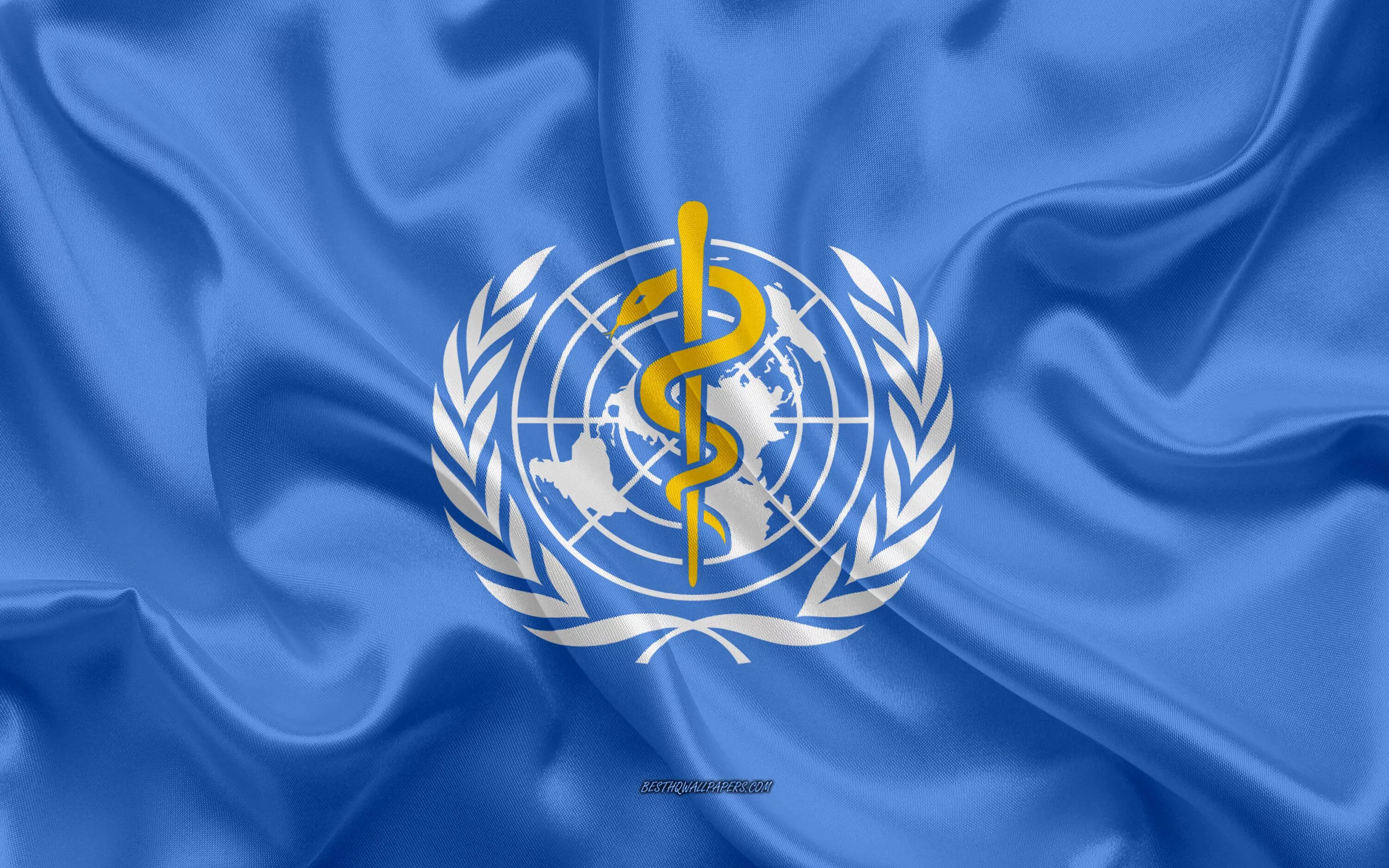 Мировая организация оон. Флаг всемирной организации здравоохранения. 3 Всемирная организация здравоохранения (воз). Воз ООН. Воз - Всемирная организация ООН.