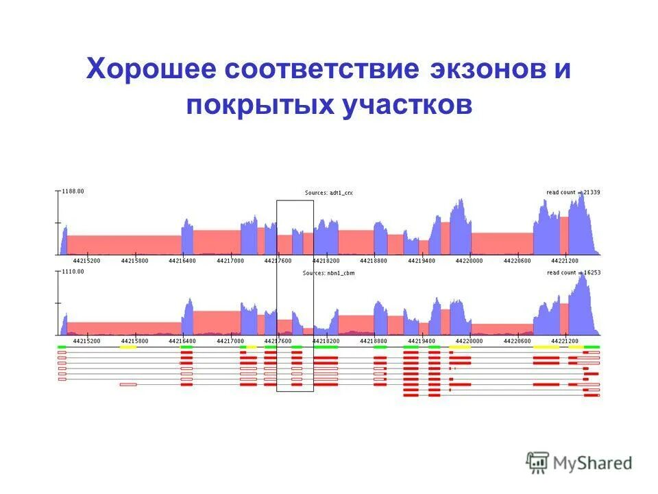 Мгу 2 курс