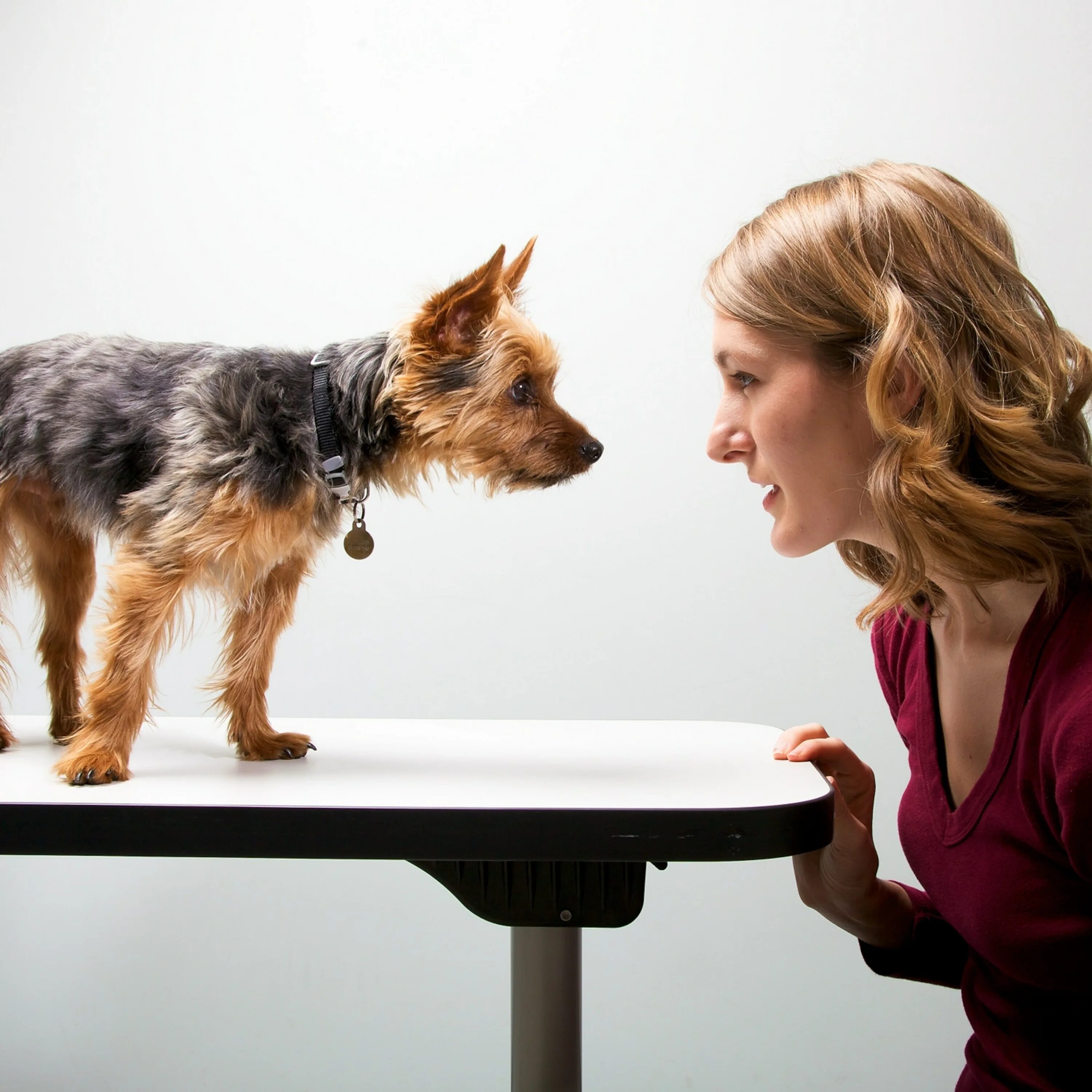 Люди разговаривающие с животными. Люди разговаривающие с животными. Человек с кошкой и собакой. Люди разговаривающие с животными. Люди разговаривающие с животными.