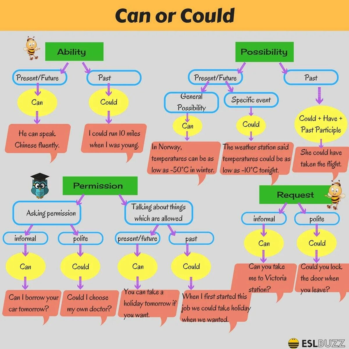 Can be allowed to. Can &quot;can&quot;. грамматика can could. could в английском грамматика. can или cans правило.