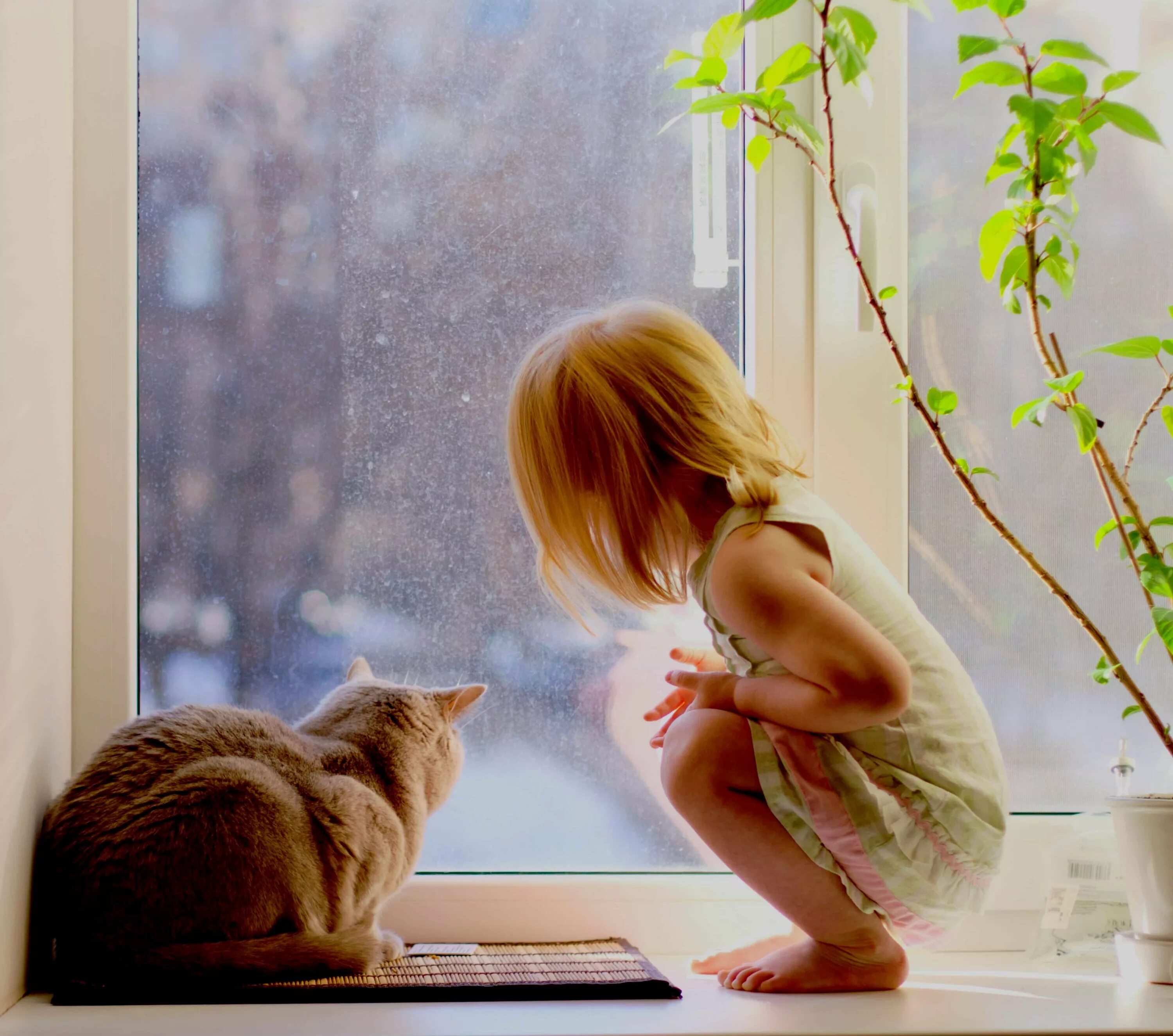 Девочка у окна. Ребенок на подоконнике. Девочка сидит у окна. Кошка девочка. Соскучилась по дому