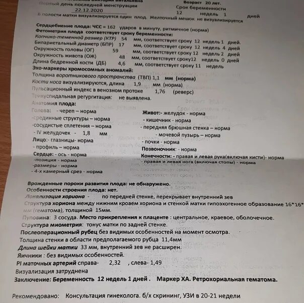 Диагноз 12 недель. Заключение УЗИ плода 12 недель. Заключение УЗИ на 12 неделе беременности. Ретрохориальная гематома УЗИ заключение. 12 Недель и 5 дней беременности.