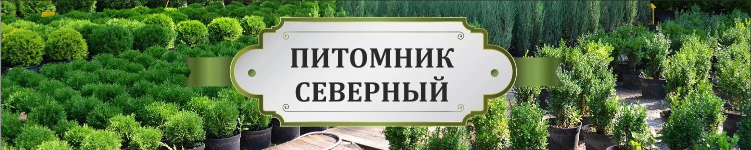 Питомник сады севера. Питомник Северный. Ломоносовский садовый питомник Северный. Северный сад питомник красное.