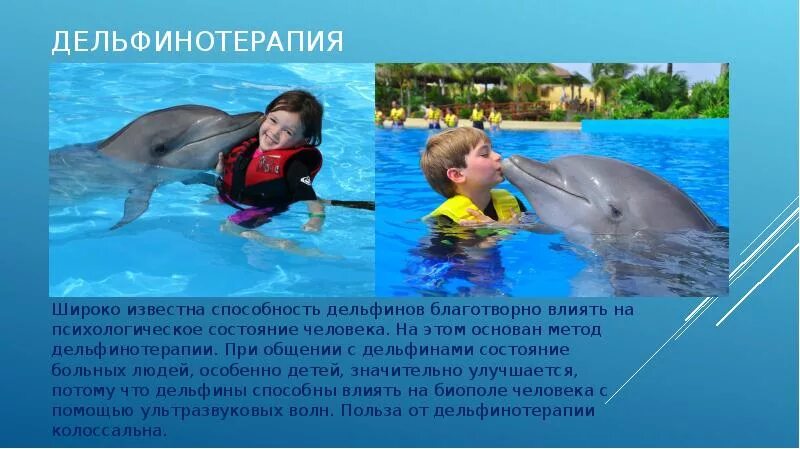 Проект для 3 класс про дельфинов "А дельфины добрые..." смотреть видео онлайн от "Секреты Профессионала" в хоро