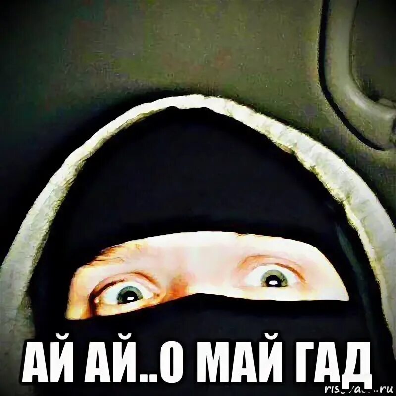 Мы полетаем о май гад. Мем омайгад. о май гад мем. мемы о май гад. надпись о май гад.