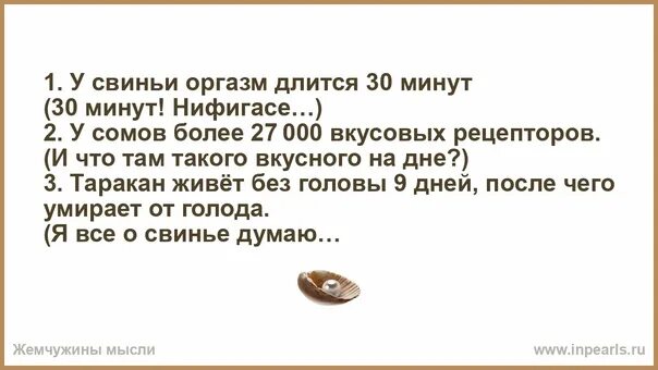 Минута длилась дольше. Оргазм у свиньи длится 30 минут. Сколько минут длится оргазм у свиньи. Сколько длится оргазм у свиньи. Анекдот оргазм у свиньи длится.