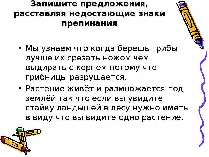 Мы знаем что когда берешь грибы. Запишите предложения. запишите предложения расставьте знаки препинания. запишите предложение грибница. мы знаем что когда берешь грибы лучше их срезать ножом нежели.