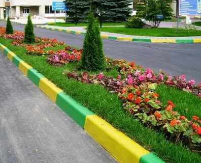 Цветы на школьной клумбе