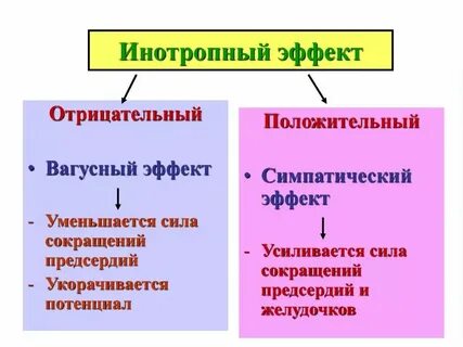 Хронотропное действие это