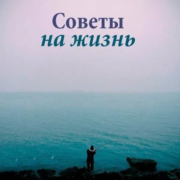 советы для счастья. добиться успеха в жизни. советы для жизни. главные советы жизни. смешные жизненные советы.
