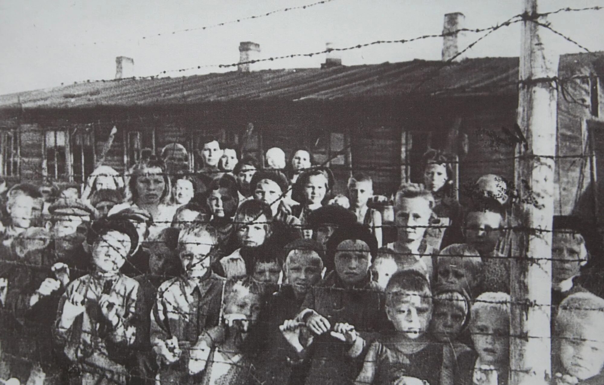 Концлагеря в Карелии 1941-1944. Петрозаводск в годы оккупации 1941 1944. Финские концлагеря в Карелии 1941-1944 годов. Концентрационный лагерь в Карелии. Дети 1944 года