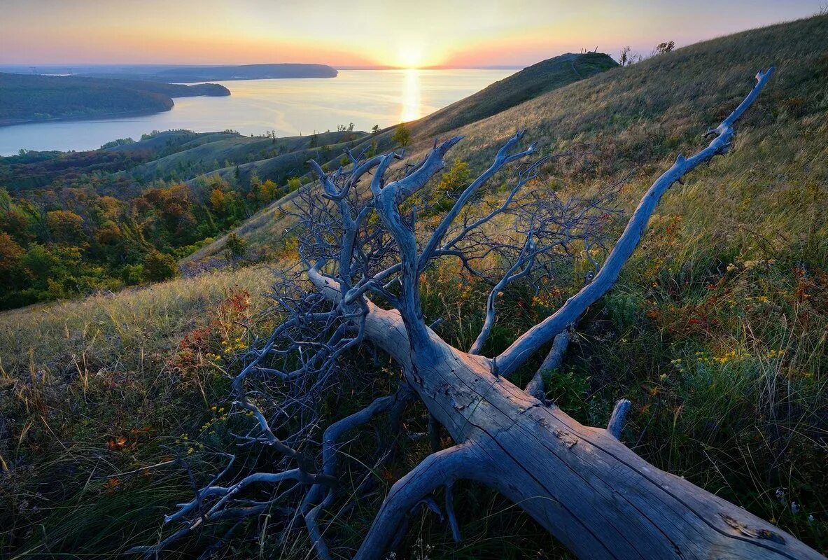 Сайт самарской луки. Самарский национальный парк.