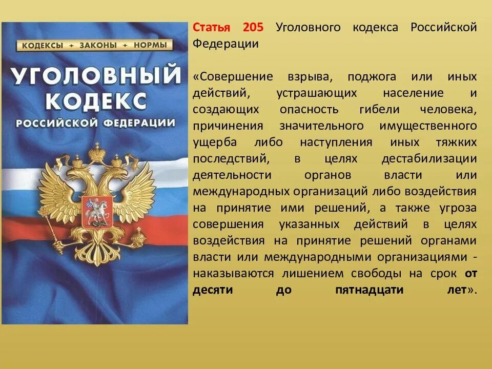 Статья. Уголовный кодекс Российской Федерации. Статьи уголовного кодекса. Статья 205 уголовного кодекса Российской Федерации. Какие есть уголовные статьи.