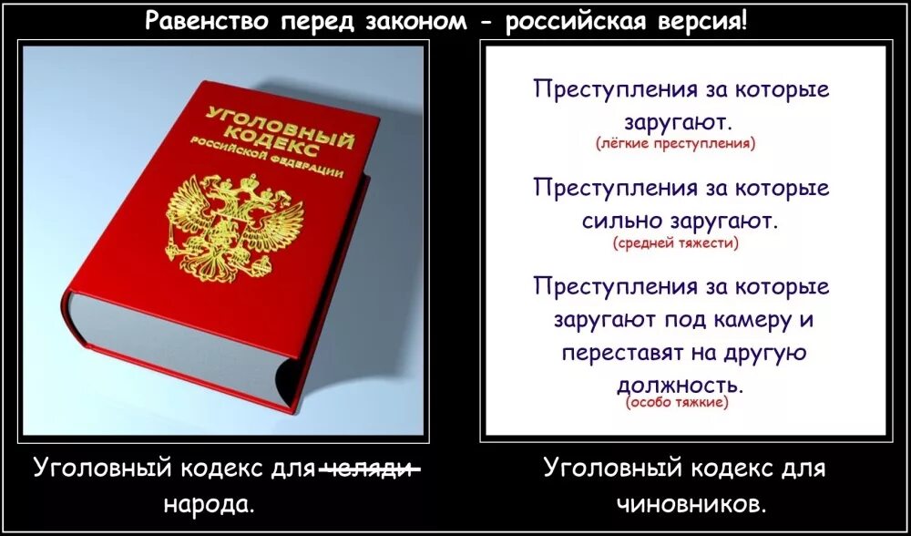 Ук рф название. Прикольные законы. Шуточные законы. Закон прикол. Приколы про законодательство.