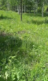 Продам участок нижегородская область