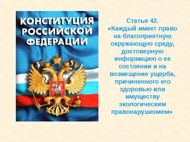 Каждый имеет право на благоприятную окружающую среду