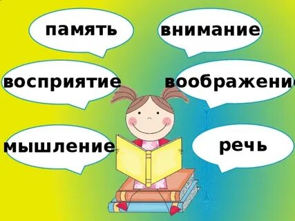 Память мышление