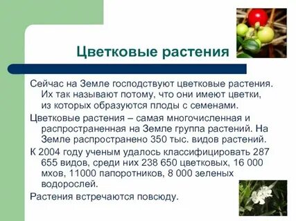 Роль цветковых растений в жизни