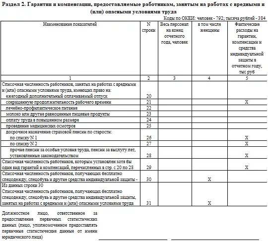 Отчет 1 т годовая