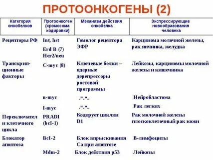 Протоонкогены