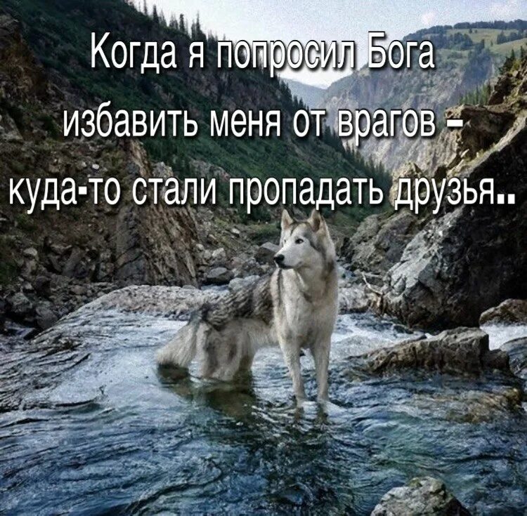 Враг всегда. Когда просишь бога избавить от врагов. попросила у бога избавить от врагов. я просил бога избавить меня от врагов. когда я попросила бога избавить меня от врагов.