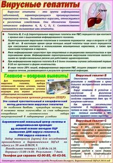Вирусные гепатиты дипломная работа