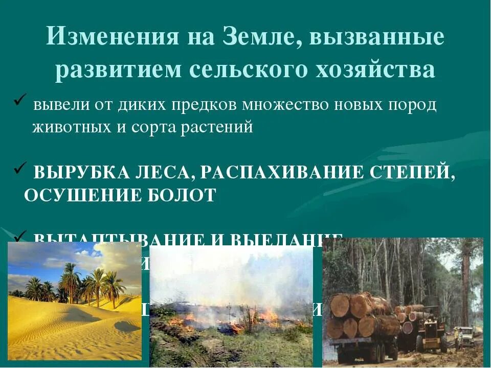 Как человек изменил землю. Человек изменил природу земли. Сообщение на тему как человек изменил землю. Буклет по теме как человек изменил землю. Как человек изменил землю 5 класс картинка.