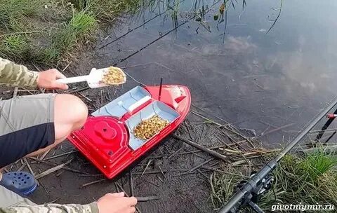 Место для приманки