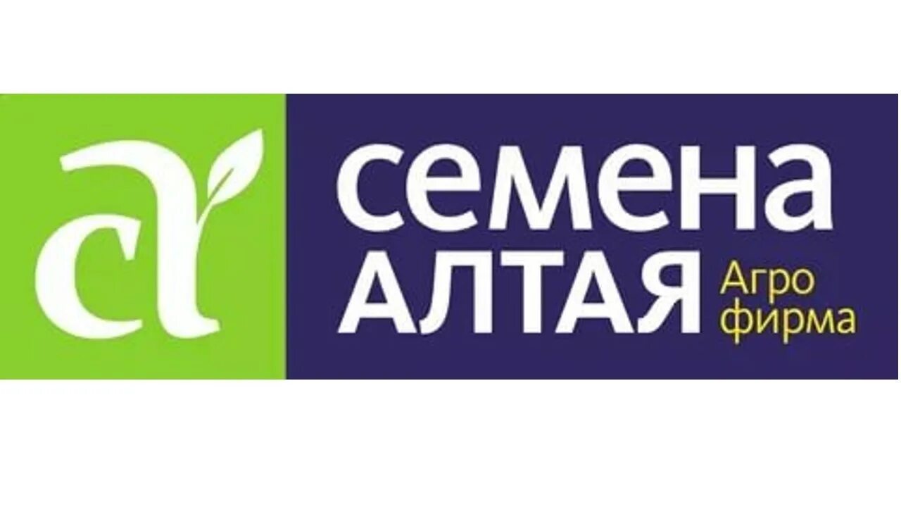 семена алтая целозия гребенчатая. семена алтая новосибирск адреса. спаржа сибирская. семена алтая новосибирск адреса. семена алтая на белом фоне.