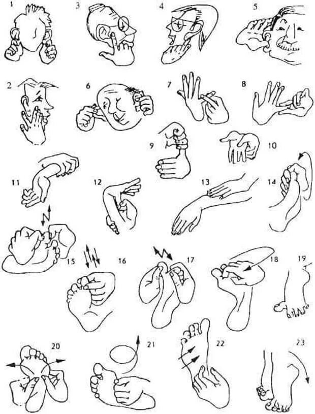 Пальчиковые упражнения для стимуляции мозга для детей. Упражнения для развития пальцев рук. Пальцевый массаж для детей. Упражнения пальцами для развития мозга детей. Пальцы рук и мозг