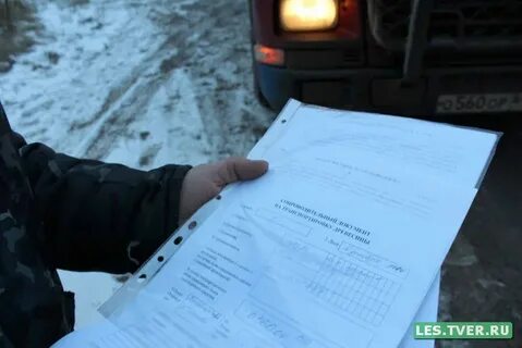 Сопроводительный на транспортировку древесины