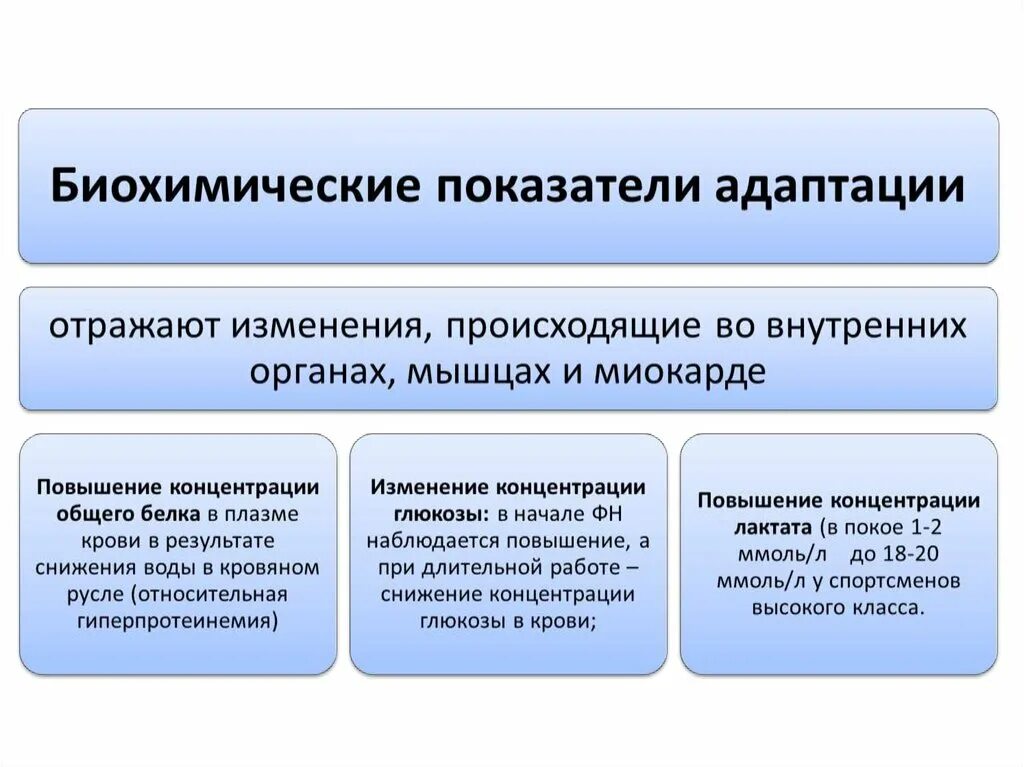 Механизмы адаптации человека. Схема механизмов адаптации. Адаптация к внешним условиям. Физиологическая адаптация человека.