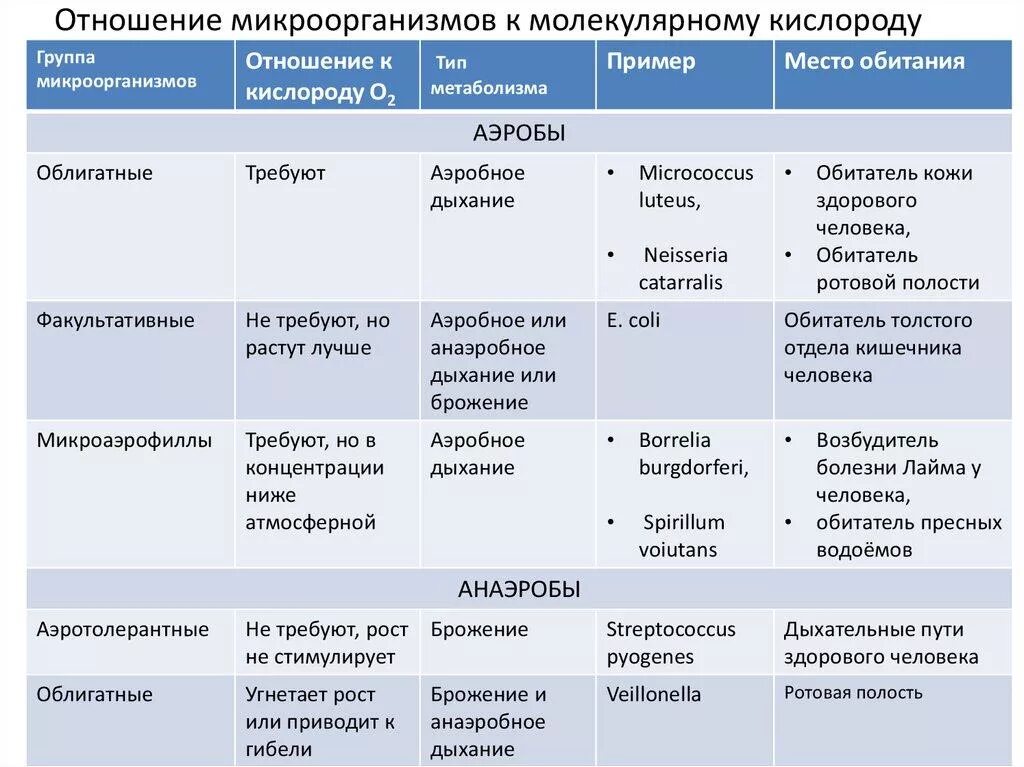 Бактерии в бескислородной среде. Аэробы и анаэробы примеры. Облигатные анаэробы примеры. Классификация микроорганизмов по отношению к кислороду. Классификация бактерий по отношению к кислороду микробиология.