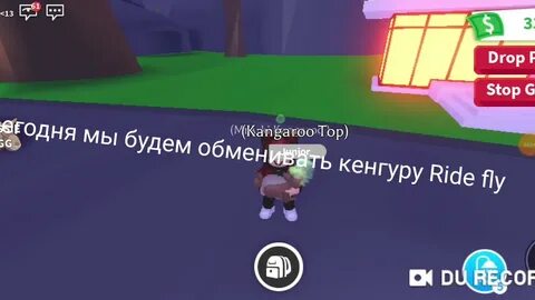 Флай райд