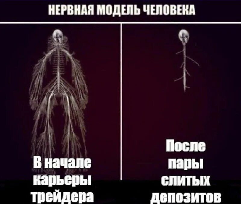 Типичный нервный. Нервная система прикол. Моя нервная система до и после. Нервная система трейдера. Мемы про трейдеров.