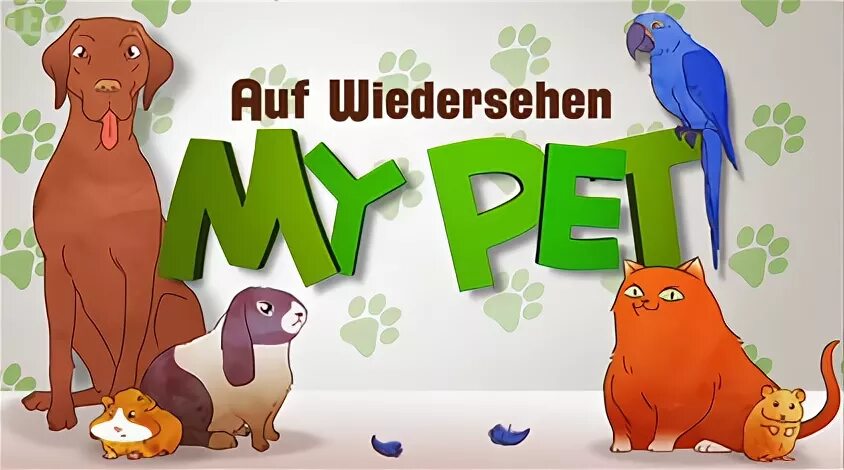 Канал my Pets. My Pet Заголовок. Обложка на тему my Pet. Pet reading. Pets википедия