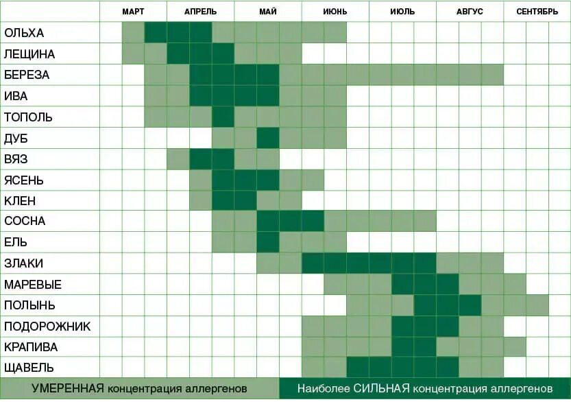 Можно ли в период цветения. Таблица цветения растений. Таблица цветения деревьев. График цветения деревьев. Растения вызывающие аллергию в июне.