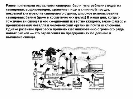 Отравление свинцом как называется