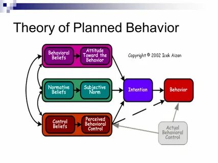 Define behavior