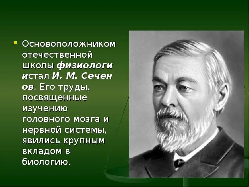 И.М. Сеченов – основоположник Отечественной. И М Сеченов вклад в биологию.