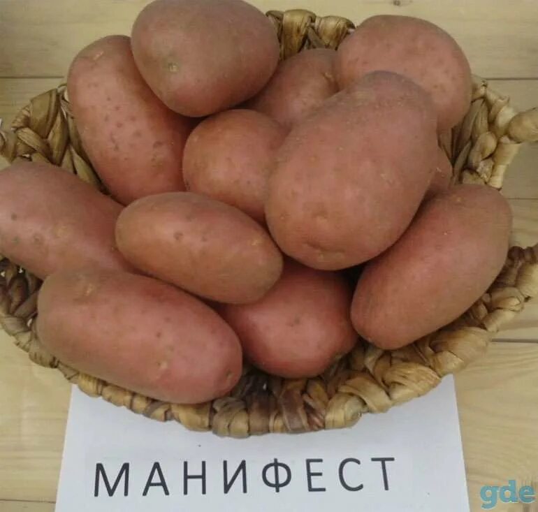 КАКИЕ СОРТА КАРТОФЕЛЯ САМЫЕ ВКУСНЫЕ Олег Еременко Дзен
