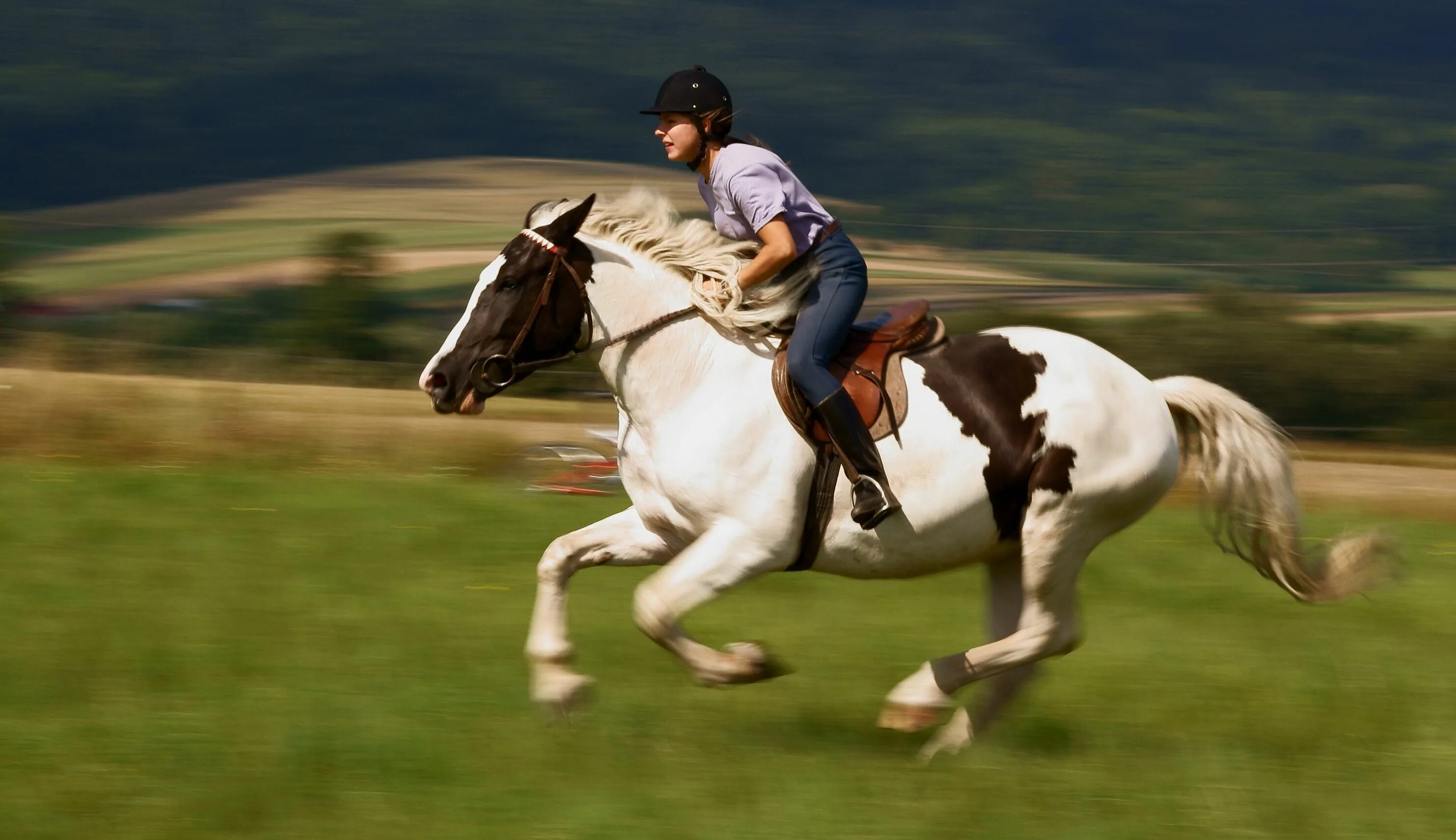 Women riding men. Галоп Аллюр лошади. Наездник на лошади. Всадник скачет на лошади. Лошадь скачет.