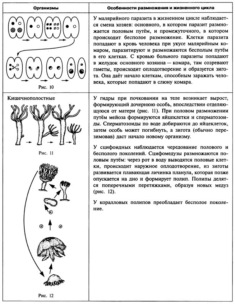 Свойства живых организмов наследственность. Общее свойство живых организмов изменчивость. Наследственность организмов. Наследственность и изменчивость грибов. Изменчивость генетика.